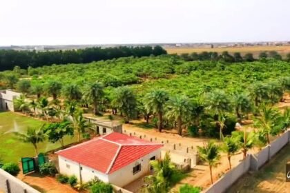 Rural farms in Jazan: A summer destination combining nature and recreation