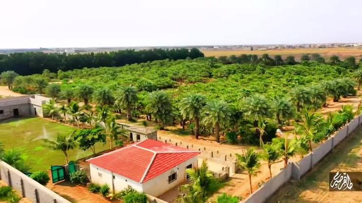 Rural farms in Jazan: A summer destination combining nature and recreation