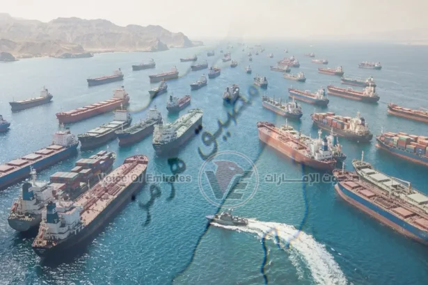 المنظمة البحرية الدولية ترفض فرض رسوم على عبور المضائق الدولية
