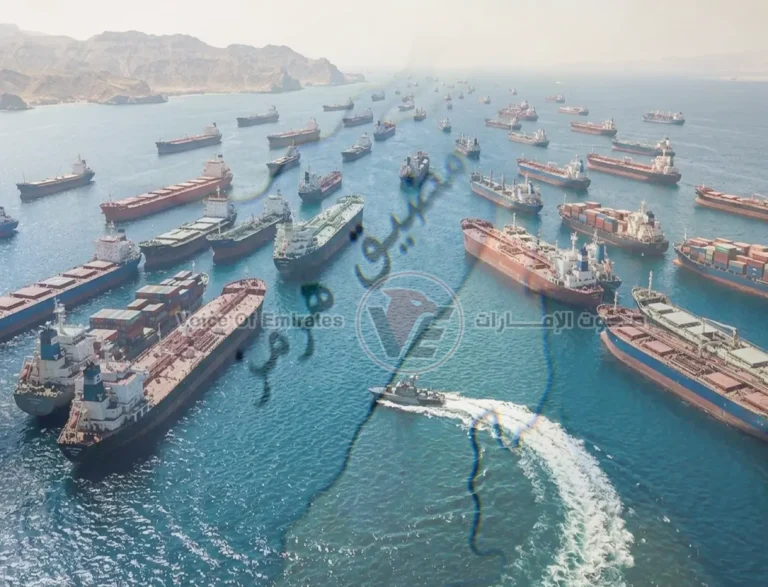 المنظمة البحرية الدولية ترفض فرض رسوم على عبور المضائق الدولية