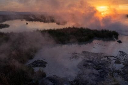 El Niño hits Mexico hard... Drought threatens crops and raises the specter of a food crisis
