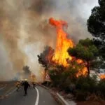 Spain under summer fire: Forest fires devour 50,000 hectares amid a record heatwave