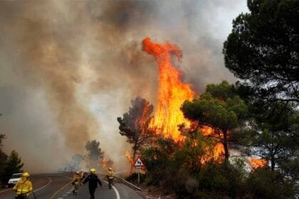 Spain under summer fire: Forest fires devour 50,000 hectares amid a record heatwave