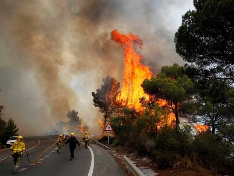 Spain under summer fire: Forest fires devour 50,000 hectares amid a record heatwave