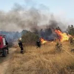 Forest fires sweep through Algeria... 80 fires in one day, most of which have been extinguished