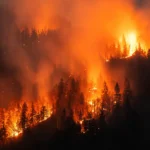 Sweden is supporting efforts to extinguish forest fires in France by sending specialized aircraft