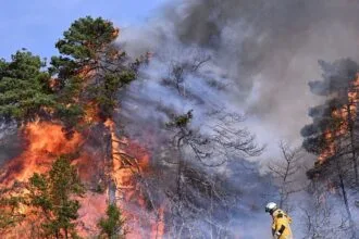 French authorities evacuate 12,000 people and intensify efforts to contain devastating forest fires in the southwest of the country