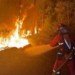 Forest fires in France: 900 people evacuated and 500 firefighters mobilized to contain the Fontainebleau fire