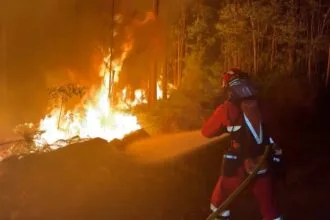 Forest fires in France: 900 people evacuated and 500 firefighters mobilized to contain the Fontainebleau fire