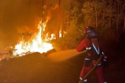 Forest fires in France: 900 people evacuated and 500 firefighters mobilized to contain the Fontainebleau fire