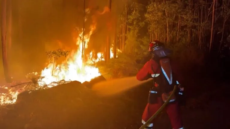 Forest fires in France: 900 people evacuated and 500 firefighters mobilized to contain the Fontainebleau fire