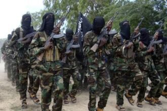 Mogadishu's military failures: Why has Al-Shabaab resurfaced?