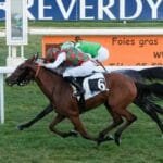 UAE horses compete in two French DAX races