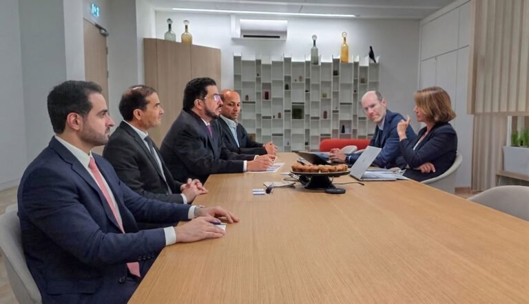 Dewa International discusses joint cooperation with French energy companies