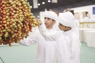 Great variety.. Liwa Moisture presents 16 competitions celebrating the palm tree