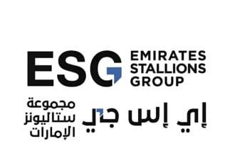 نمو الأرباح 44%.. 766.69 مليون درهم إيرادات "إي إس جي ستاليونز الإمارات" خلال النصف الأول