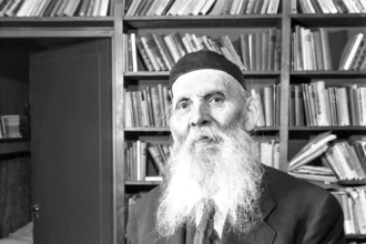 Frans Emil Sillanpää, one of Finland's most important writers