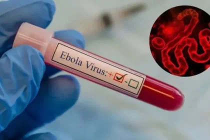Ebola continues to claim lives in the Democratic Republic of Congo; deaths exceed 500 and infections are on the rise