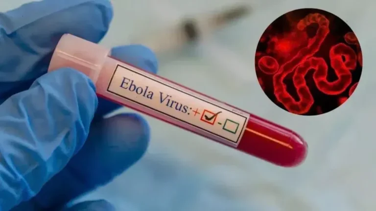 Ebola continues to claim lives in the Democratic Republic of Congo; deaths exceed 500 and infections are on the rise