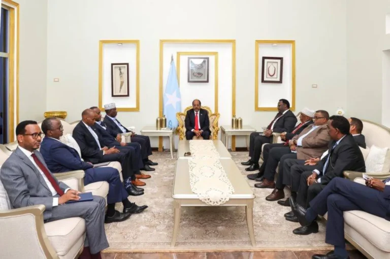 Somalia's Future Council: Government loses constitutional legitimacy; call for transitional authority