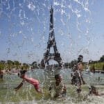 A severe heatwave is killing millions of birds in France and exacerbating the poultry production crisis