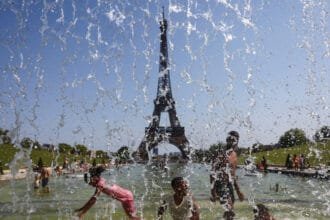 موجة الحر القاسية تفتك بملايين الطيور في فرنسا وتفاقم أزمة إنتاج الدواجن