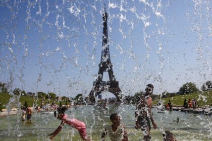 موجة الحر القاسية تفتك بملايين الطيور في فرنسا وتفاقم أزمة إنتاج الدواجن