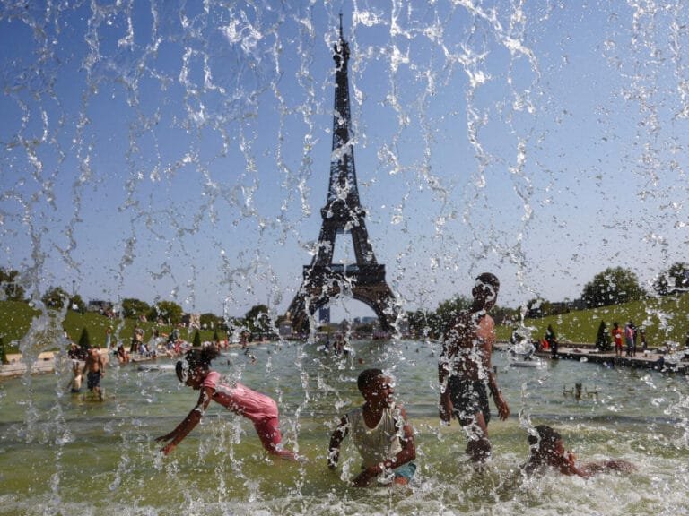 موجة الحر القاسية تفتك بملايين الطيور في فرنسا وتفاقم أزمة إنتاج الدواجن
