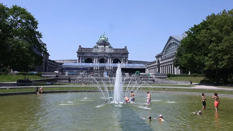 A shocking toll from the heatwave in Belgium: more than 1,200 deaths spark outrage and criticism of the government