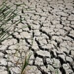الحكومة البريطانية تحذر: الجفاف يضرب معظم إنجلترا وسط تصاعد مخاوف نقص المياه