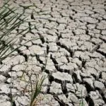 British government warns: Drought hits most of England amid mounting concerns.