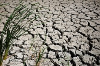 British government warns: Drought hits most of England amid mounting concerns.