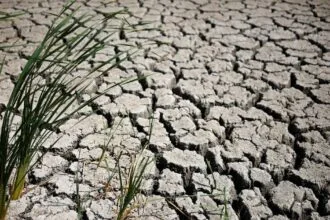 British government warns: Drought hits most of England amid mounting concerns.