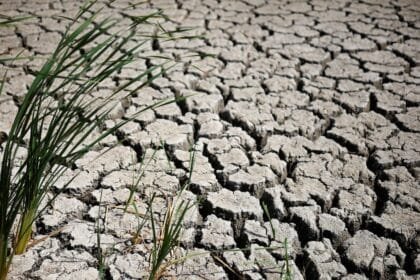 الحكومة البريطانية تحذر: الجفاف يضرب معظم إنجلترا وسط تصاعد مخاوف نقص المياه
