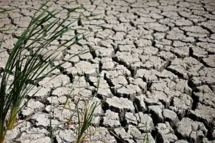 British government warns: Drought hits most of England amid mounting concerns.