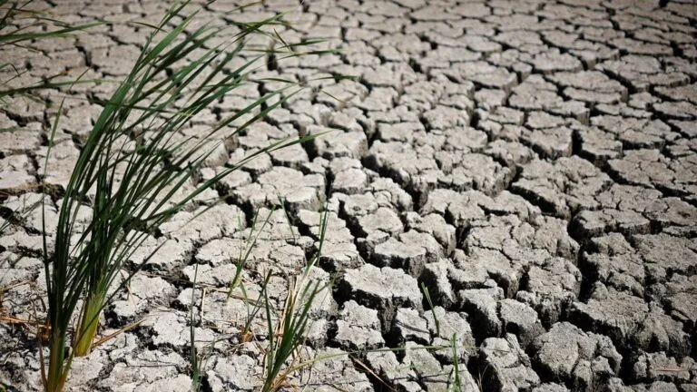 British government warns: Drought hits most of England amid mounting concerns.