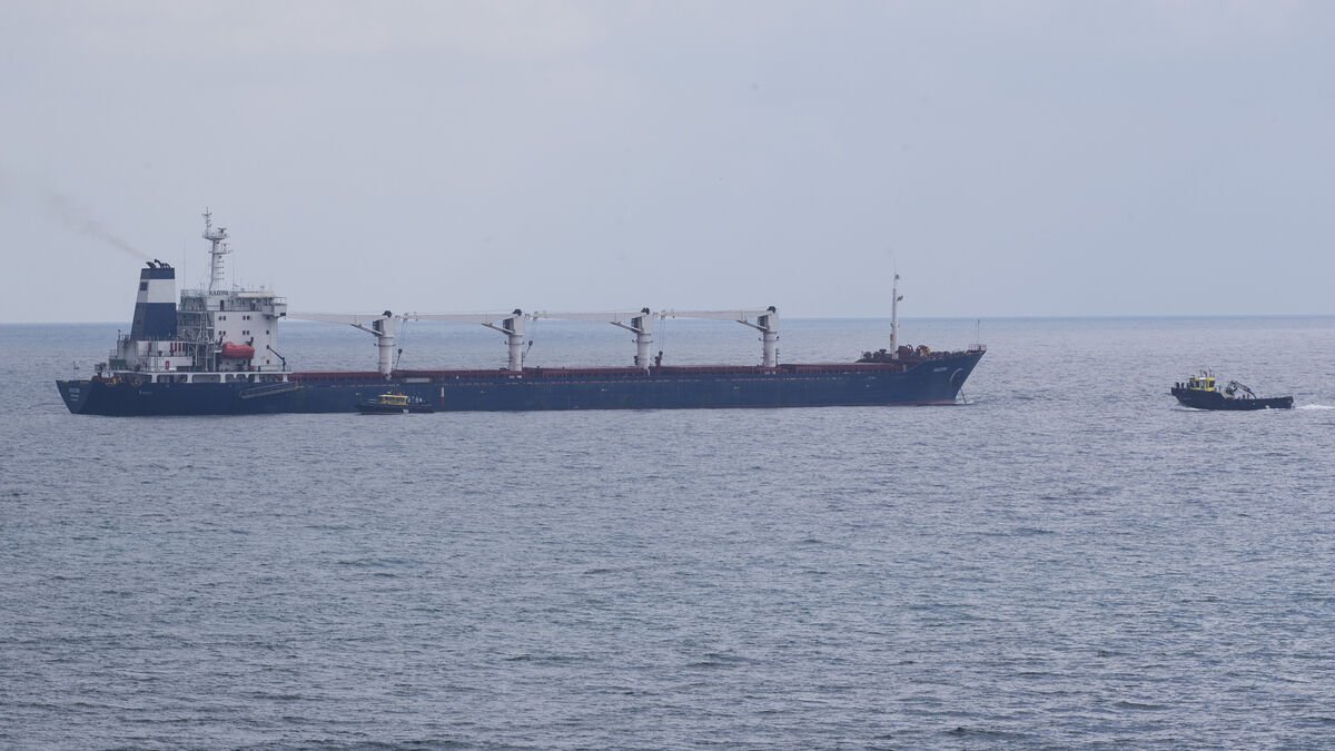 Photo: voiceofemirates.com Ukraine Offers Russia Black Sea Truce to Protect Shipping and Food Supplies