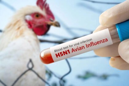 Australia records first case of H5N1 bird flu in a domestic mammal