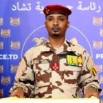 N'Djamena calls for calm and responsibility after pardoning political prisoners