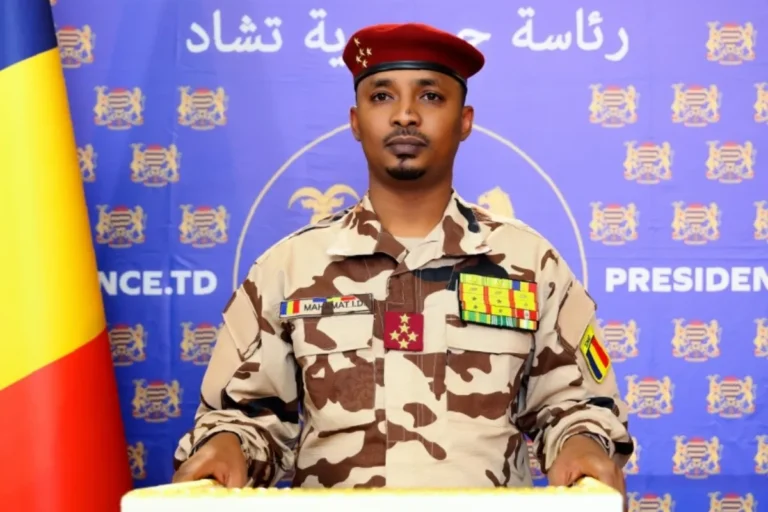 N'Djamena calls for calm and responsibility after pardoning political prisoners