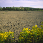Climate change is knocking on banks' doors... A European official warns of risks threatening the stability of the financial system