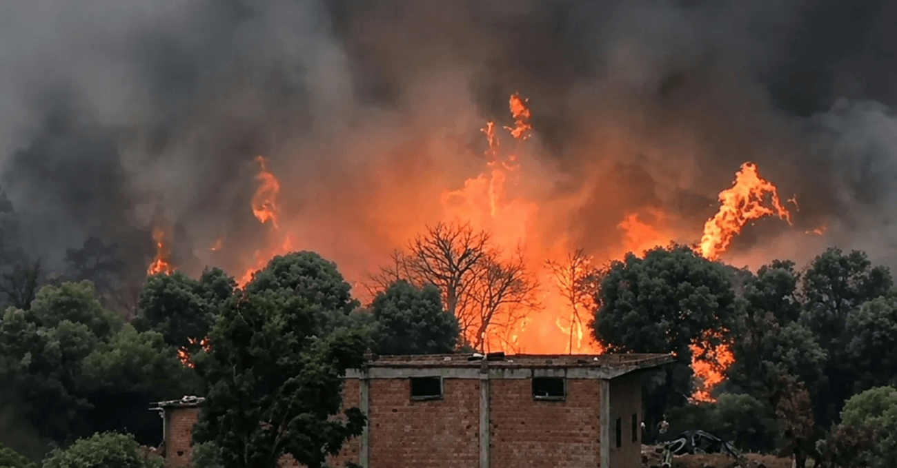 Algeria Wildfire Death Toll Rises to 73 Amid Mass Burials and Ongoing Blazes
