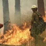 حرائق الغابات تجتاح ولاية واشنطن وحاكمها يعلن الطوارئ وحظر النيران