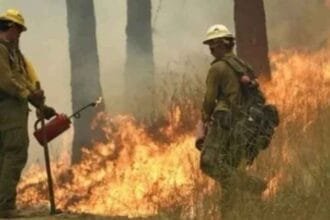 Wildfires rage across Washington state; governor declares state of emergency and bans fires