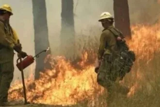Wildfires rage across Washington state; governor declares state of emergency and bans fires