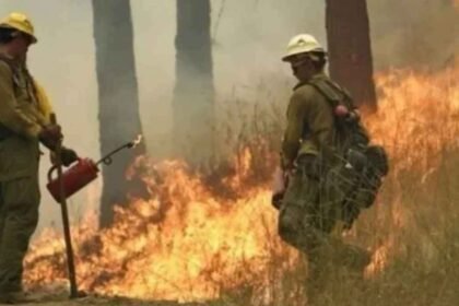 Wildfires rage across Washington state; governor declares state of emergency and bans fires
