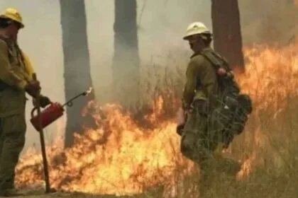 Wildfires rage across Washington state; governor declares state of emergency and bans fires
