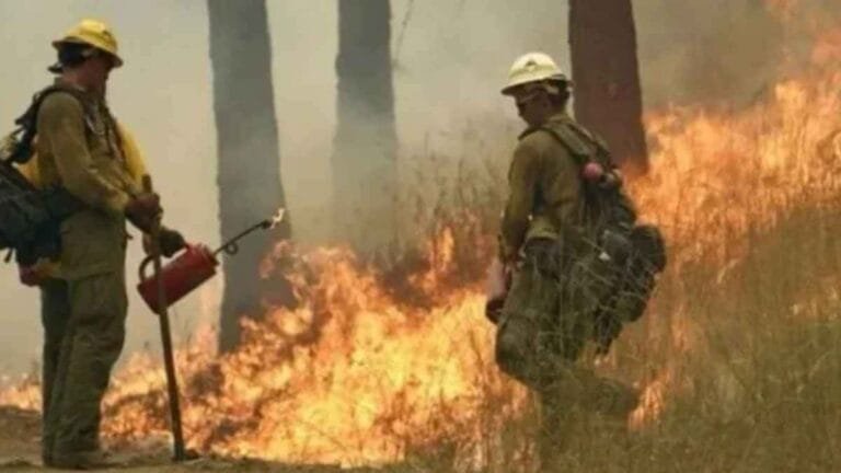 Wildfires rage across Washington state; governor declares state of emergency and bans fires