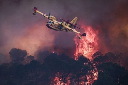 France raises forest fire alert level in 45 departments amid unprecedented heatwave