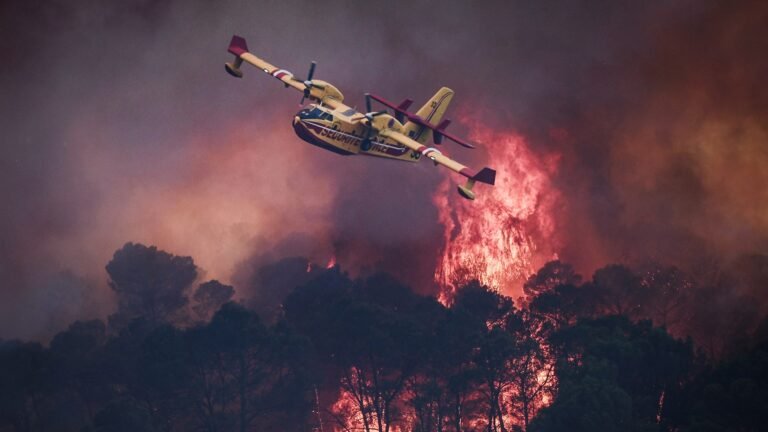France raises forest fire alert level in 45 departments amid unprecedented heatwave